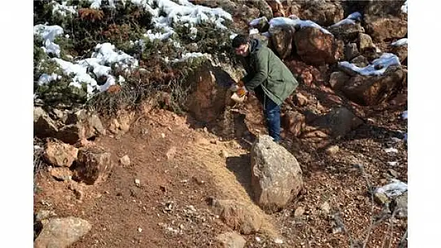 Tunceli'de Yaban Hayvanları İçin Doğaya Yem Bırakıldı