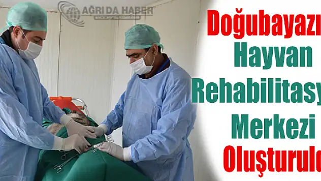 Doğubayazıt'ta Hayvan Rehabilitasyon Merkezi Oluşturuldu