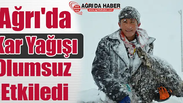 Ağrı'da Yoğun Kar Yağışı Olumsuz Etkiledi