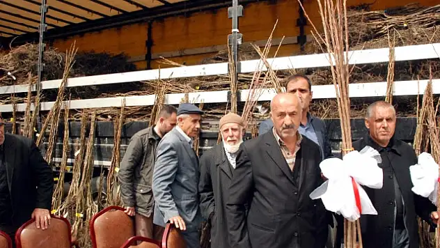 Bitlis'te Çiftçilere 65 Bin Meyve Fidan Dağıtıldı