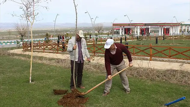 Mşü'de Peyzaj Çalışması