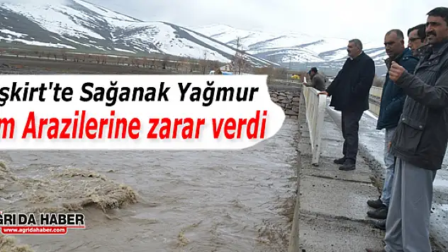 Eleşkirt'te Sağanak Yağmur Tarım Arazilerine zarar verdi