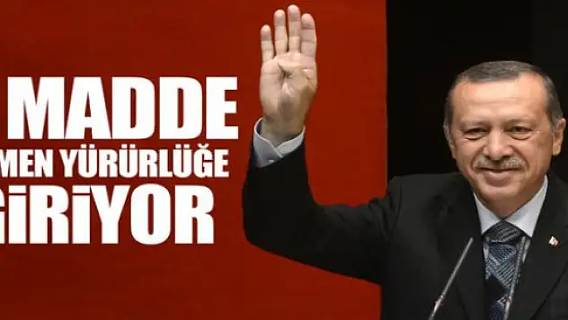 Referandum oylamasının ardından 3 Madde Hemen Yürürlüğe Girecek
