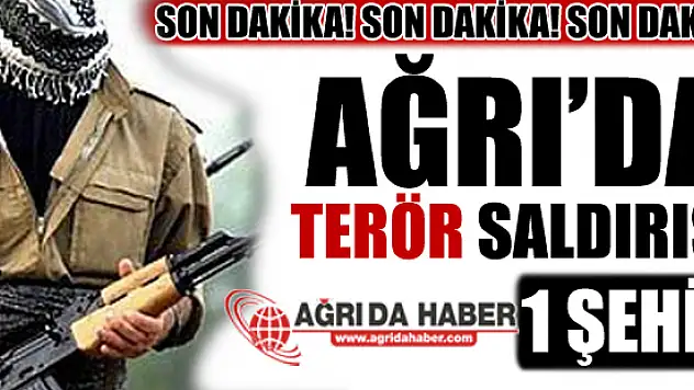 Son Dakika! Ağrı'da Terör Saldırısı 1 Şehit!