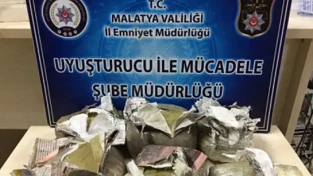 Dedektör köpek Toprağa Gömülü Uyuşturucu Buldu