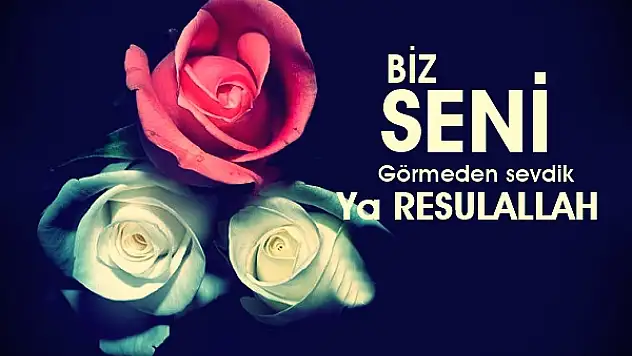 Kars'ta Kutlu Doğum Haftası !