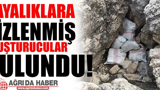 Uyuşturucu Tacirleri Eroini Kayaklıklara Gizlemiş