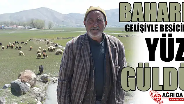 Baharın Gelişiyle Besicilerin Yüzü Güldü