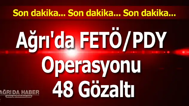 Sondakika Ağrı'da FETÖ/PDY operasyonu 48 Gözaltı