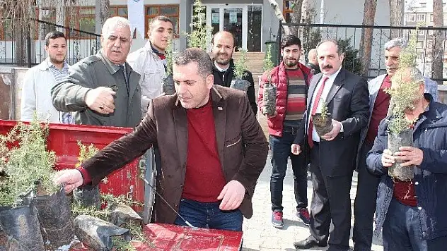 Meyveciliği geliştirmek için fidan dağıtıldı