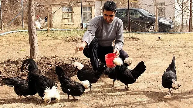 Beşiktaş Sevgisi neler yaptırıyor