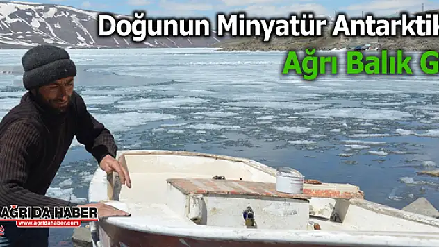 Doğunun Minyatür Antarktikası Ağrı Balık Gölü