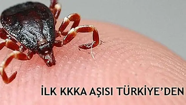 Türk Bilim Adamları Kırım Kongo Kanamalı Ateşi (KKKA) Aşısını buldu