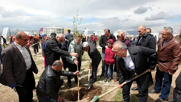 15 Temmuz Şehitleri anısına fidan dikildi