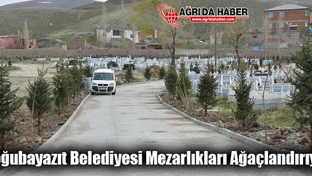Doğubayazıt Belediyesi Mezarlıkları Ağaçlandırıyor