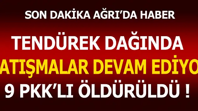 Ağrı Tendürek Dağında Öldürülen PKK'lı Sayısı 9'a çıktı