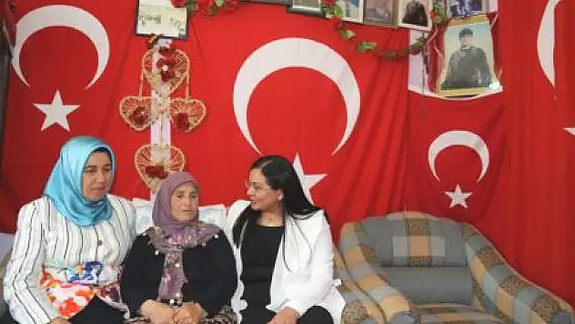 Van'da Anneler Günü'ne Doğru
