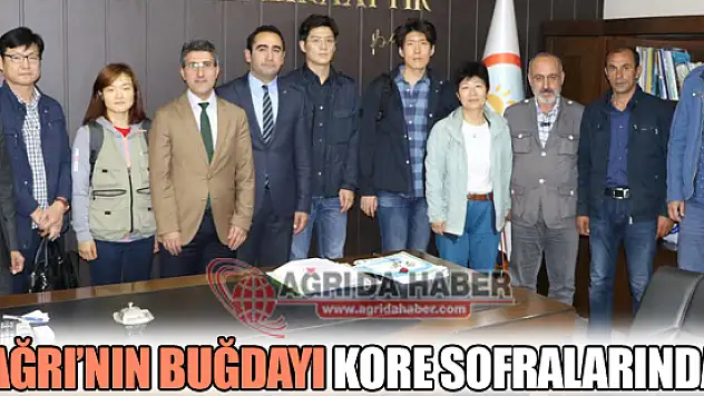 Ağrı'nın Buğdayı GÜNEY KORE Sofralarında