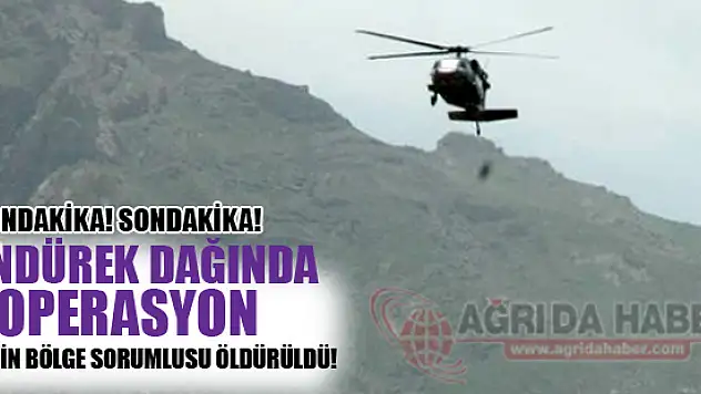 Tendürek'te Operasyon! Diyadin Bölge Sorumlusu Öldürüldü