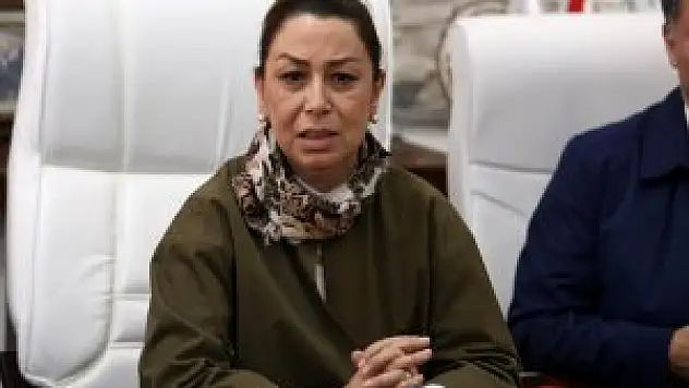 Ak Parti Genel Başkan Yardımcısı Çalık Fetöye İlişkin Açıklama Yaptı