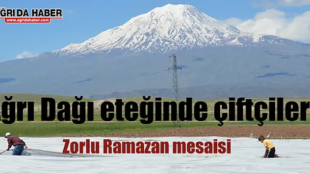 Ağrı Dağı eteğinde çiftçilerin zorlu Ramazan mesaisi