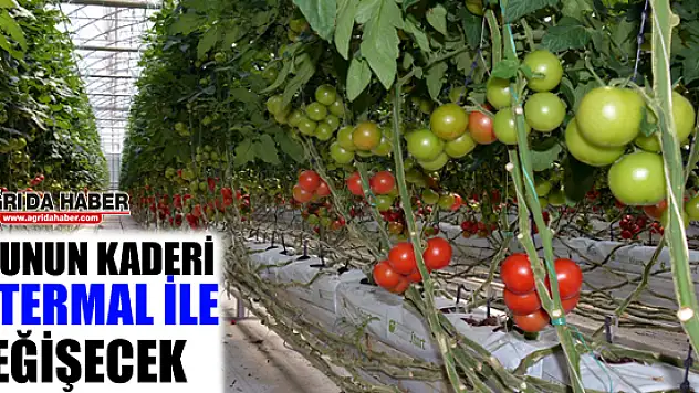 Doğunun Kaderi 'Jeotermal' İle Değişecek
