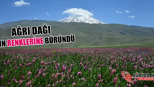 Ağrı Dağı'nın eteklerinde yaz mevsimi renkleri