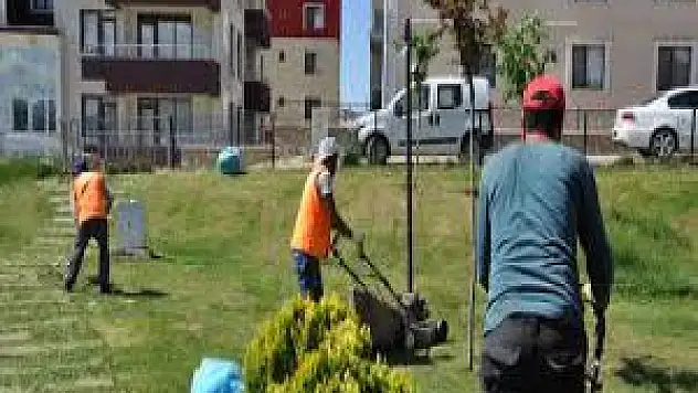 Tunceli'de Park Ve Bahçe Temizliği