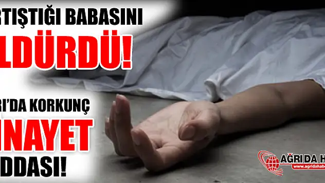 Tartıştığı Babasını Bıçaklayarak Öldürdü İddası!