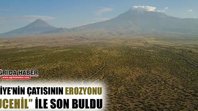 'Türkiye'nin Çatısı'nın Erozyonu 'Ebucehil' ile Son Buldu