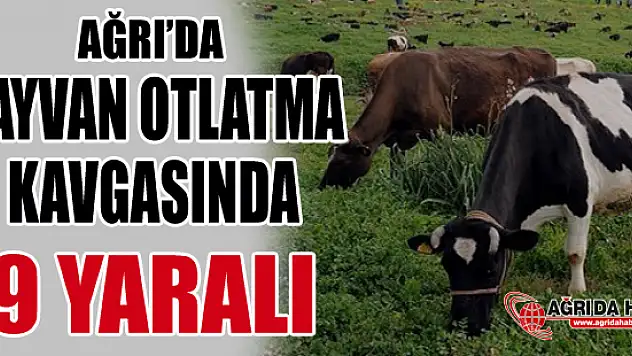 Ağrı'nın Eleşkirt İlçesinde Hayvan Otlatma Kavgası: 9 yaralı