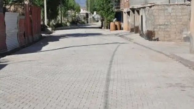 Van Gölü Sahillerinde Bulunan Pilaja Yoğun İlgi