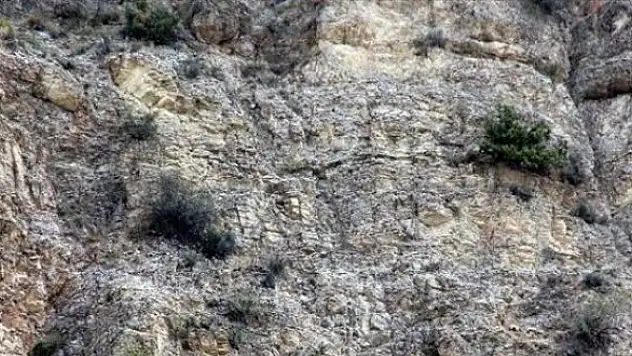 İtfaiye Ekibi At İçin Dağda 6 Kilometre Yürüdü