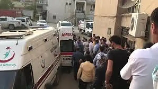 Hakkari'de Kamyonet Şarampole Düştü !