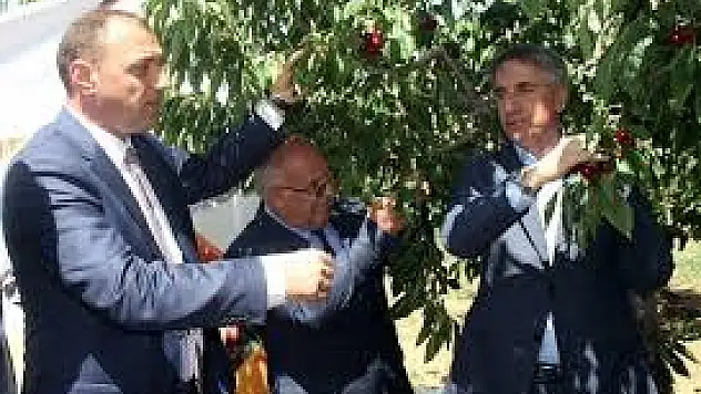 Elazığ'da 'Kiraz Hasat Şenliği'