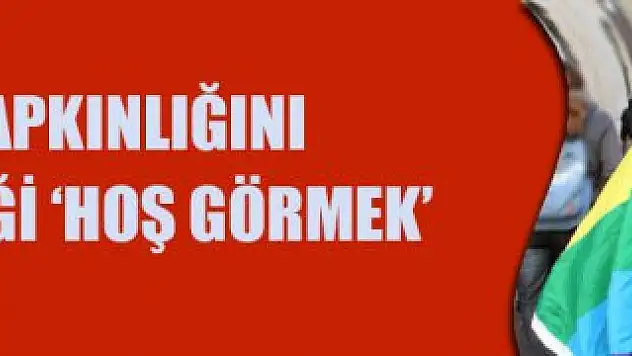 Hayrettin Karaman Yazdı: Eşcinsellik Sapkınlığını ve Eşcinsel Evliliği Hoş Görmek