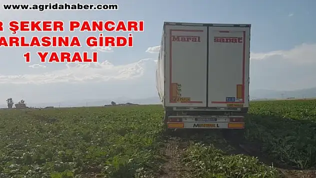 Şeker Pancarı Tarlasına giren Tır'ın Sürücüsü yaralandı