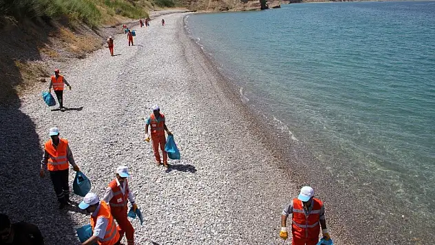Van Gölü Sahillerinde Temizlik Çalışması !