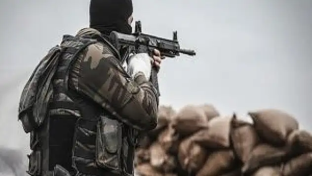 Hakkari'de 2 Terörist Yakalandı