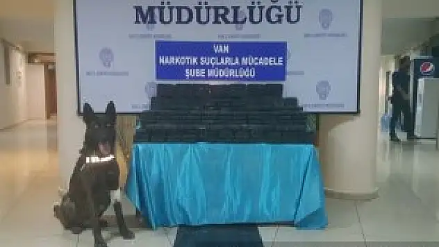 Gürpınar'da Kaçak Tütün Operasyonu !