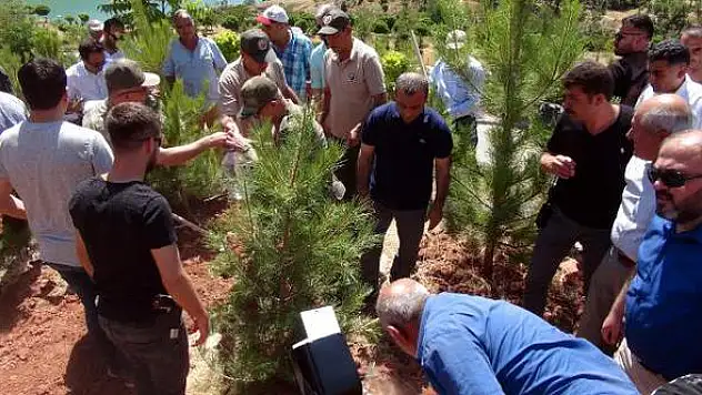 Tunceli'de 15 Temmuz şehitleri anısına 250 fidan dikildi