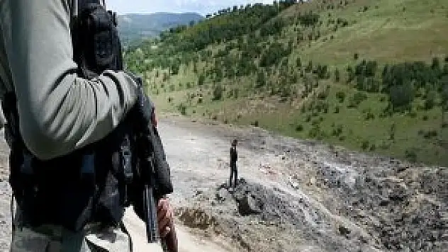 Bingöl'de  Pkk'lı Terörist Yakalandı