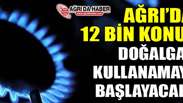 Ağrı'da 12 Bin Konut Ağustos'ta Doğalgaz Kullanmaya başlayacak