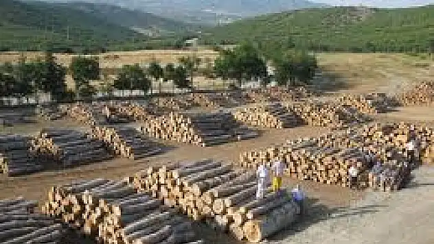 Sarıkamış Soğuksu Orman Deposu Turizme Kazandırılacak