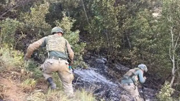 Bitlis'teki Terör Operasyonunda Gelişme