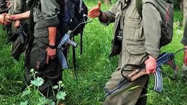 Van'da Terör Operasyonu