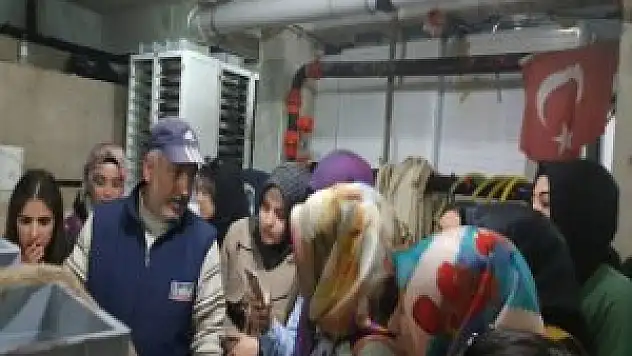 Keban'daki Aşılama Çalıştayı Son Buldu