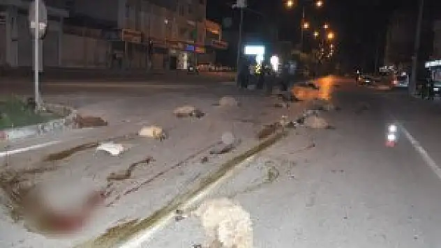 Malatya'da Trafik Kazasında 20 Küçükbaş Hayvan Telef Oldu