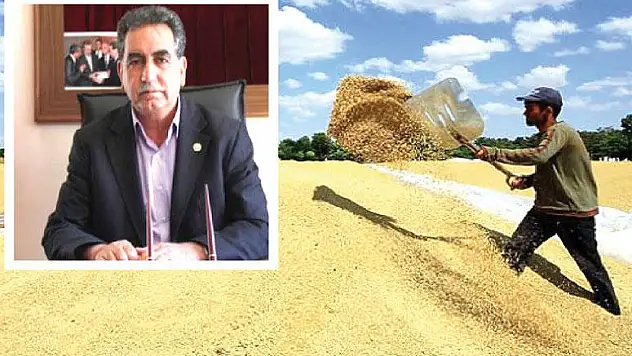 Bingöl Buğday Alımlarını Yapıyor