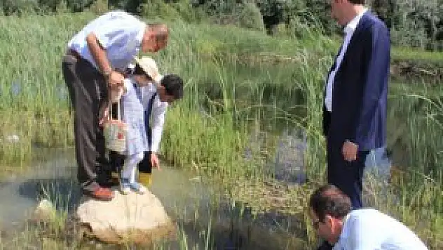 Hakkari'de Sülük Göleti'ne 15 Bin Sazan Bırakıldı